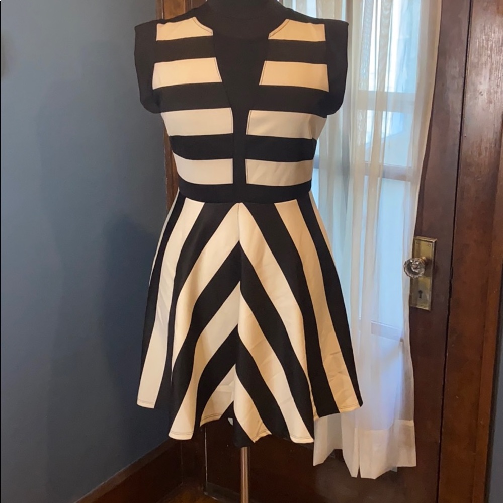 Fashion to Figure black/white scuba FNF dress 2X
